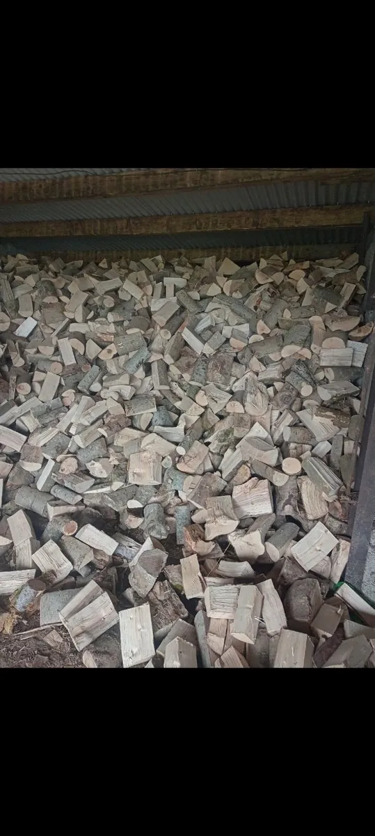 Bulk bags of Firewood 🔥 - Image 2