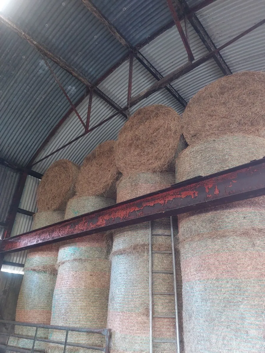 Hay