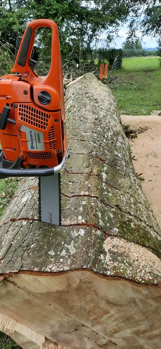 A.K.J Tree Care - Image 1