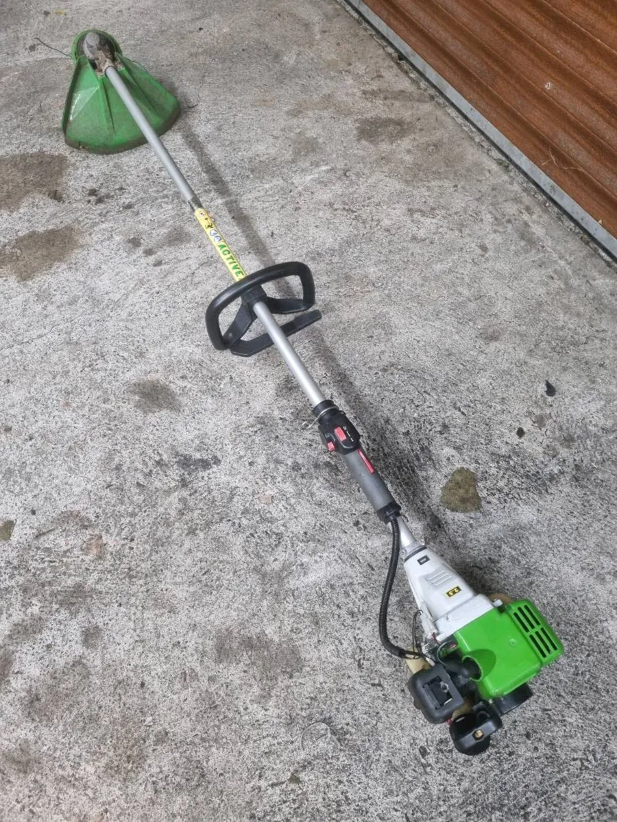 Strimmer - Image 1