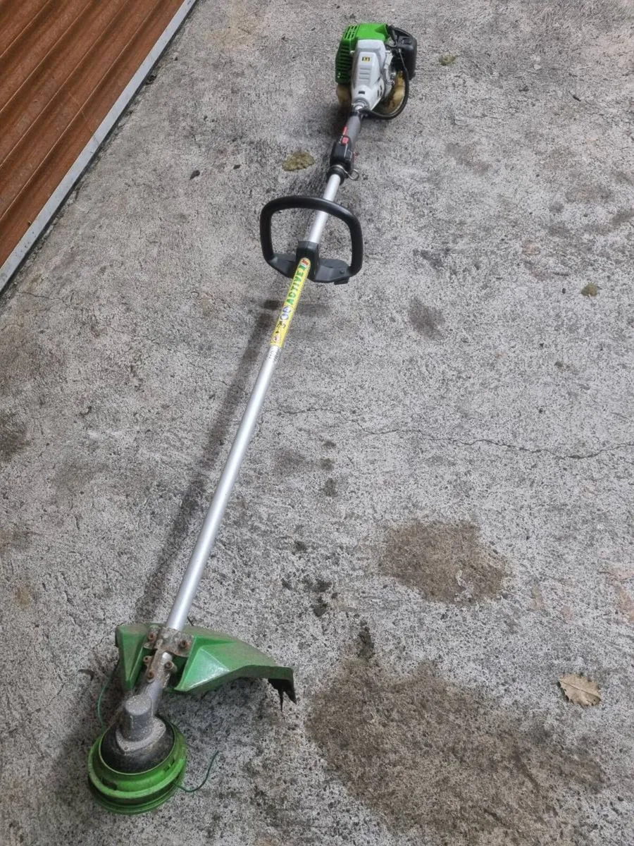 Strimmer - Image 2