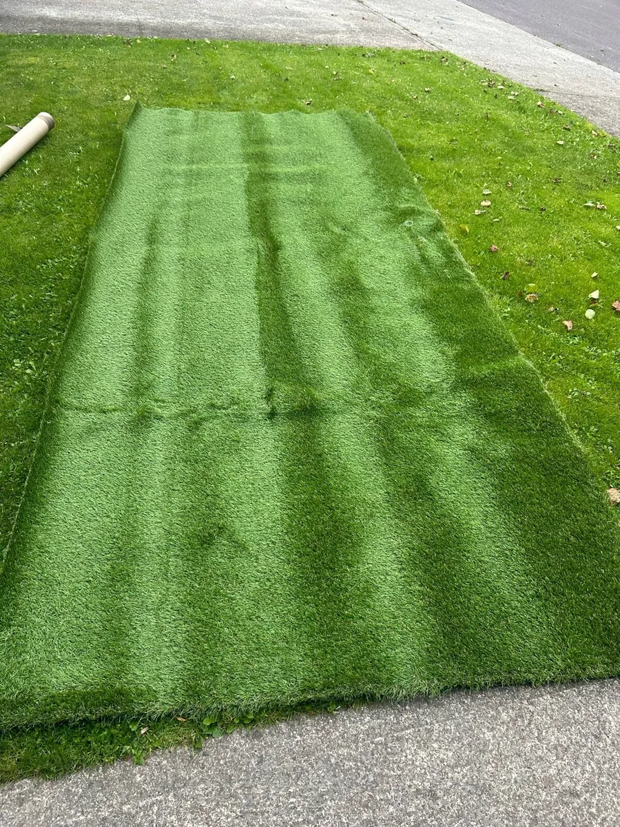 Artificial Grass - Image 1