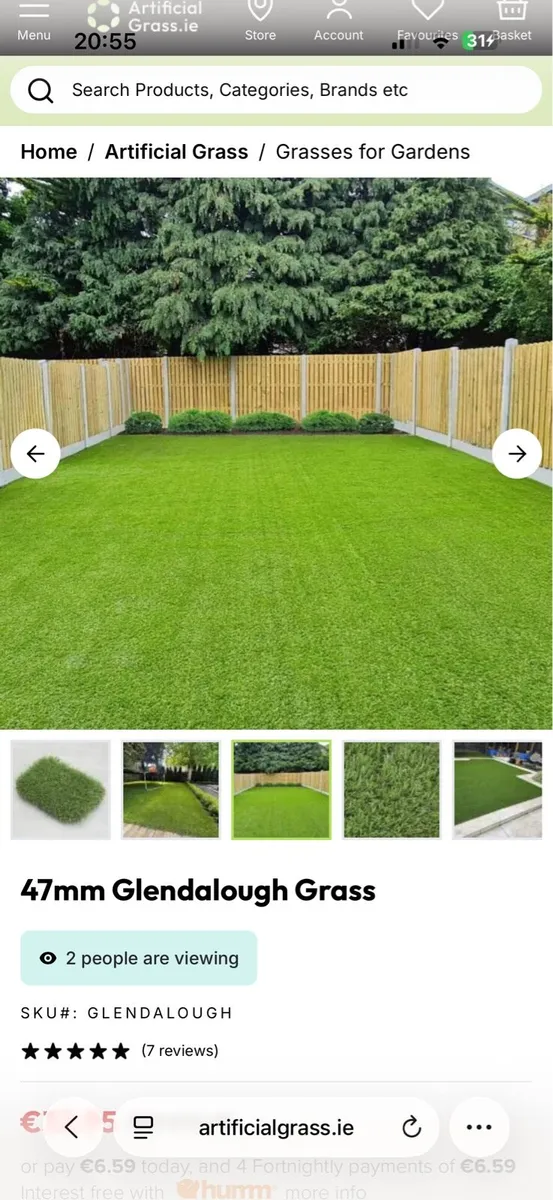 Artificial Grass - Image 2