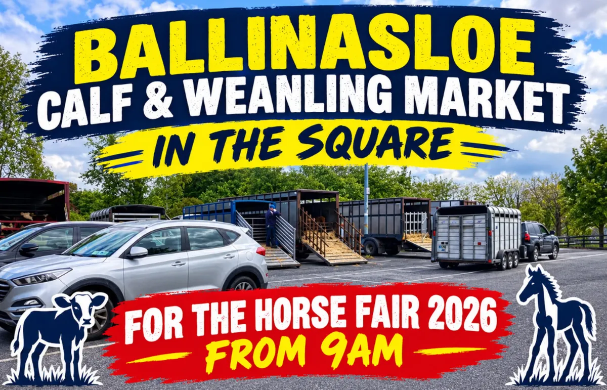 Ballinasloe Calf & Weanling Market - Image 1