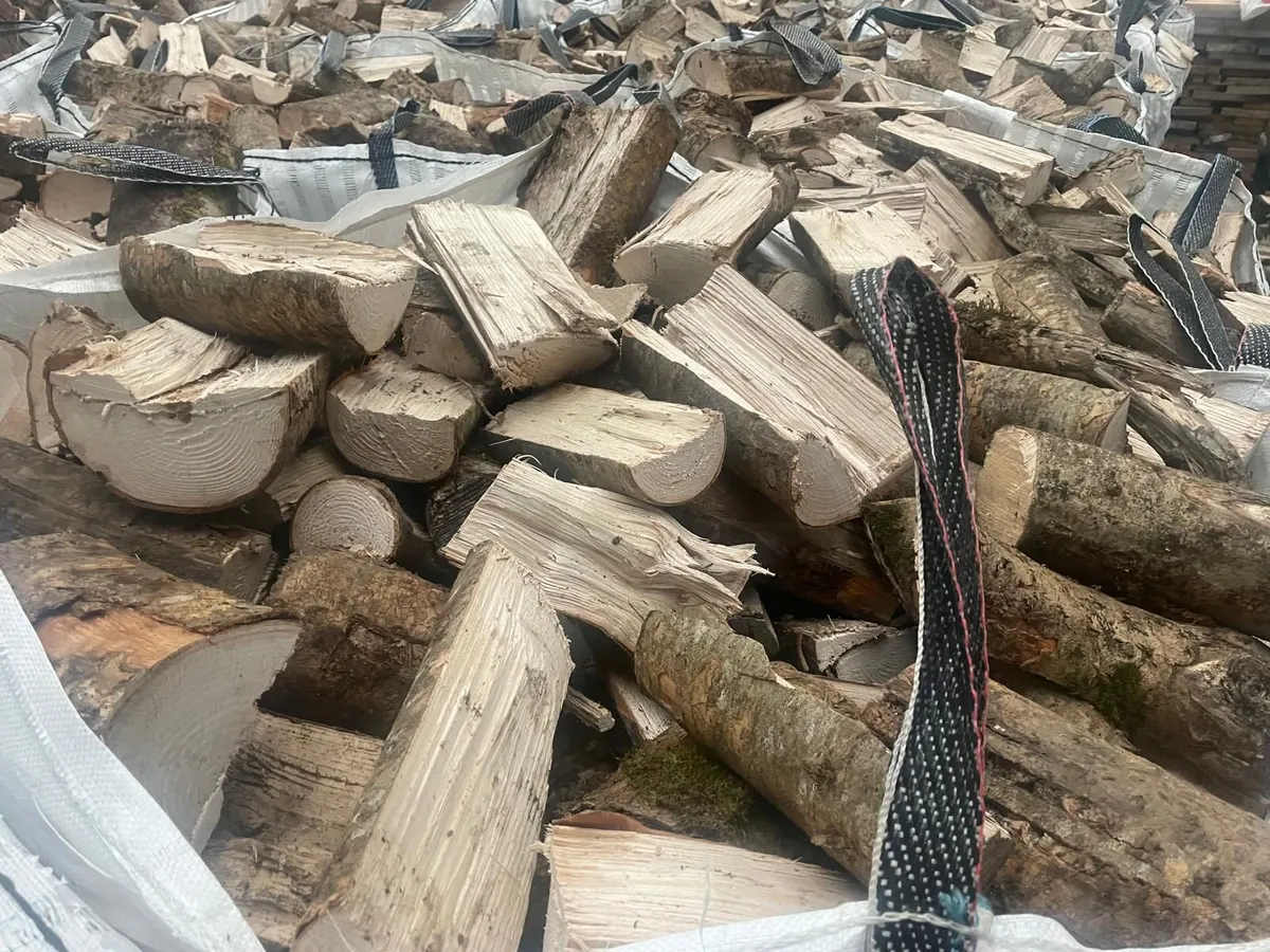 Hard Wood Ash Firewood for Sale - Image 1