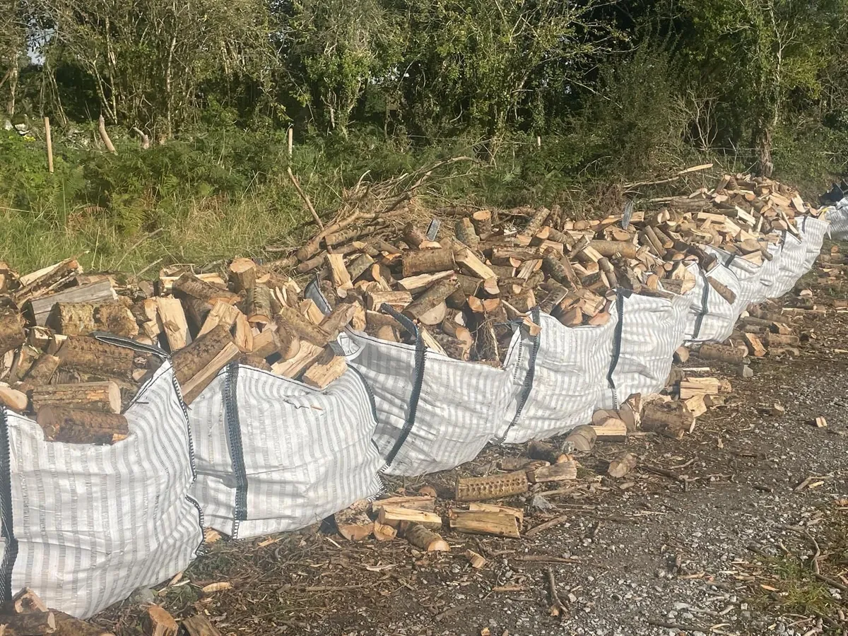 Hard Wood Ash Firewood for Sale - Image 3