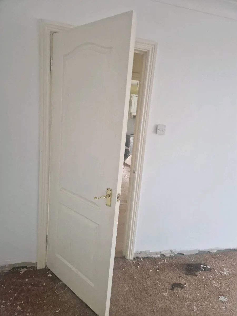 Doors - Image 4