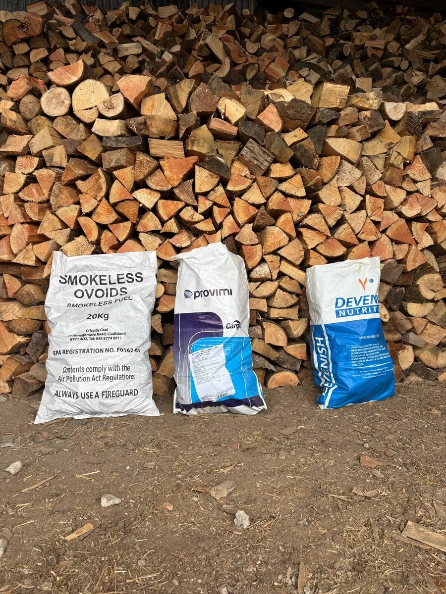 Seasoned firewood - Image 1