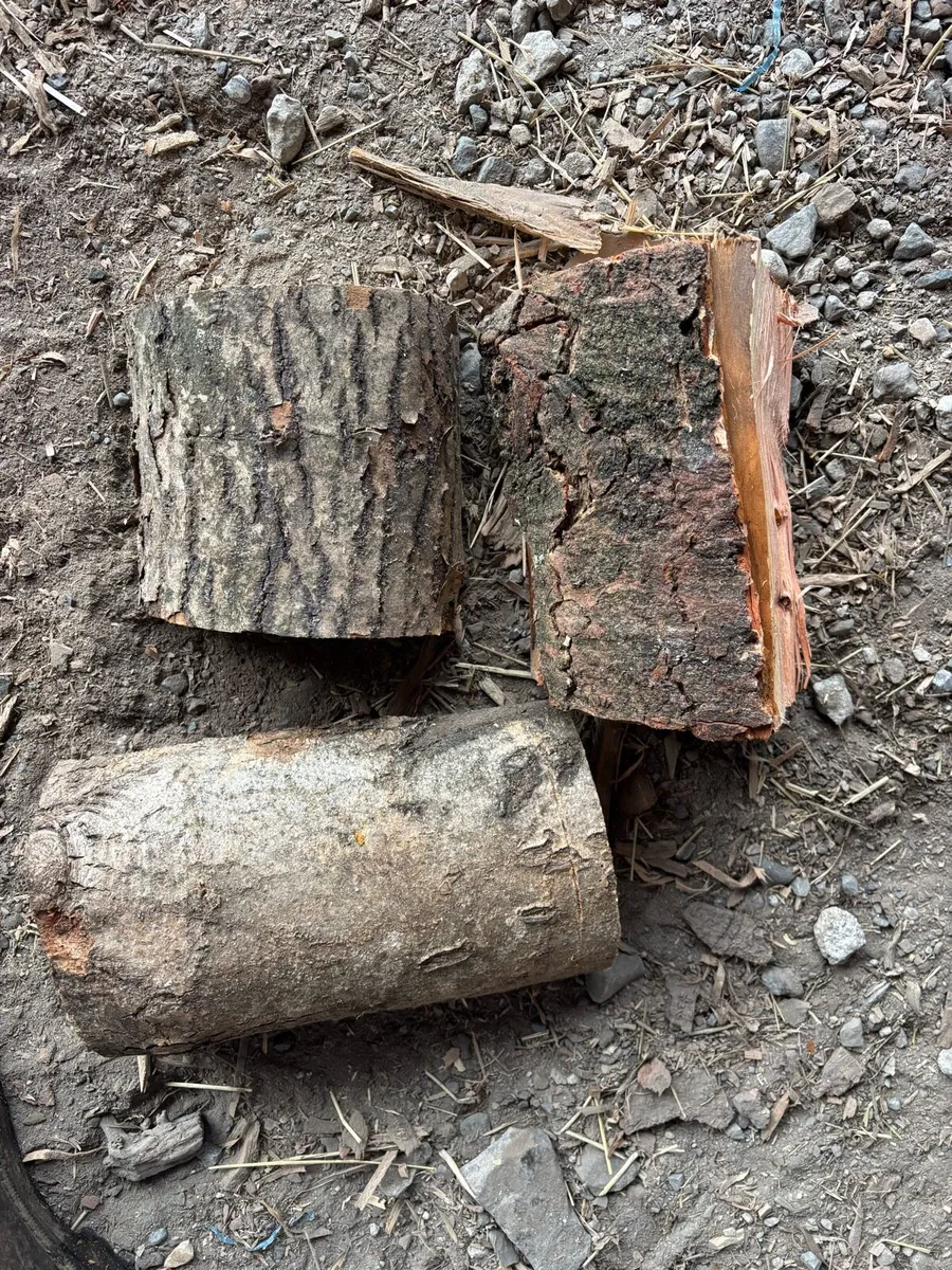 Seasoned firewood - Image 2