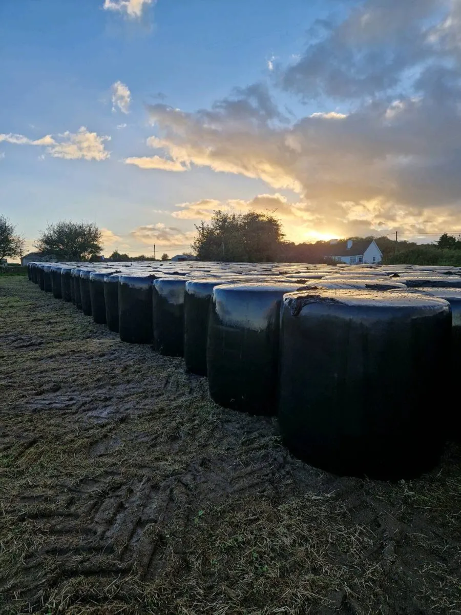 Round bales of Silage - Image 1