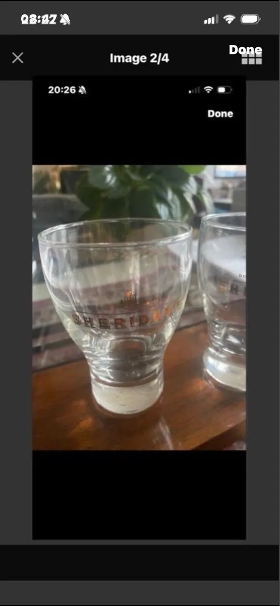 Sheridan Liquor Glasses - Image 2