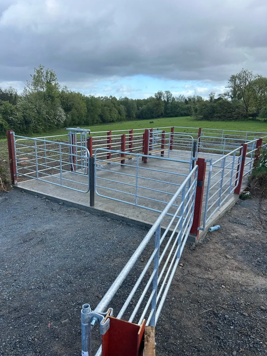 Fencing contractor - Image 1