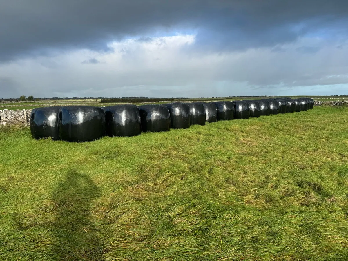 Round Bales Silage - Image 1
