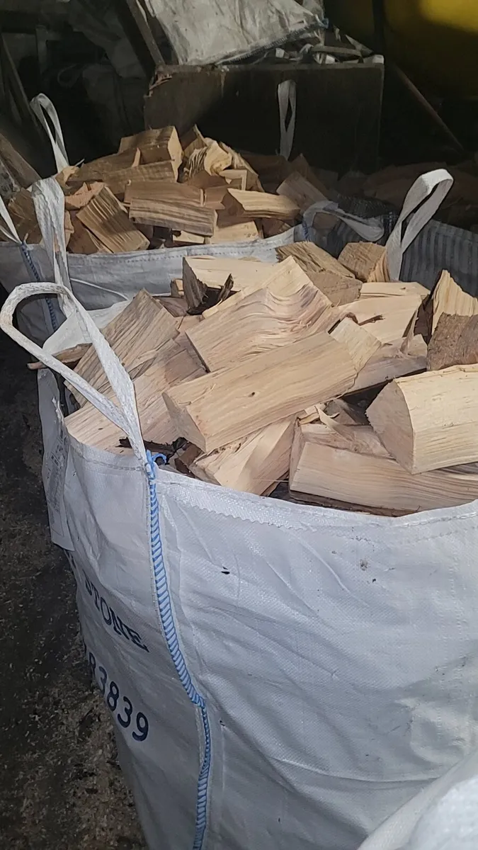 Firewood - Image 2