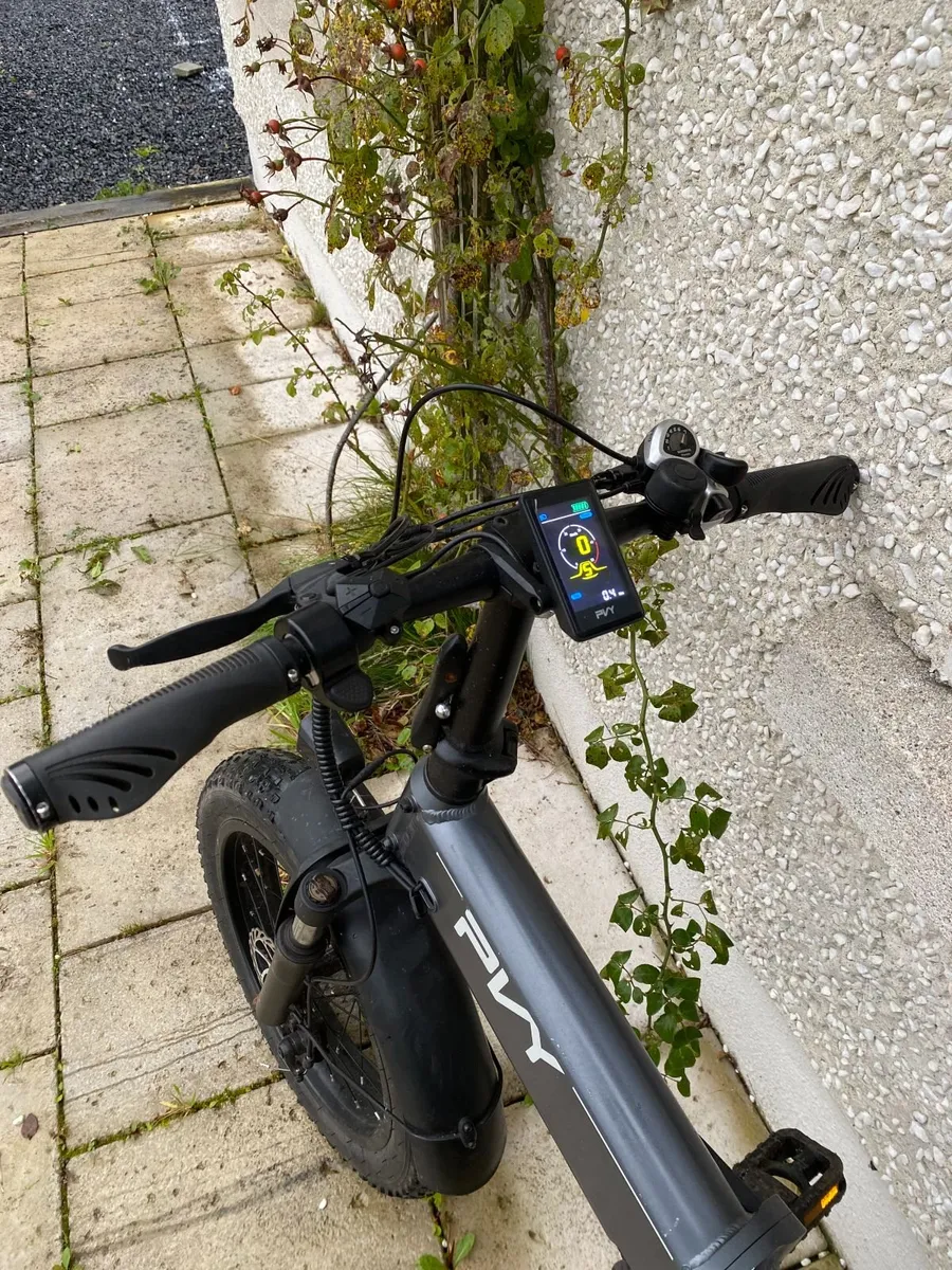 FAT TYRE EBIKE, Free Delivery Leinster. - Image 2