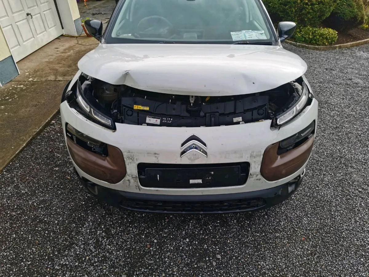 14 Citroen C4 Cactus Diesel - Image 3