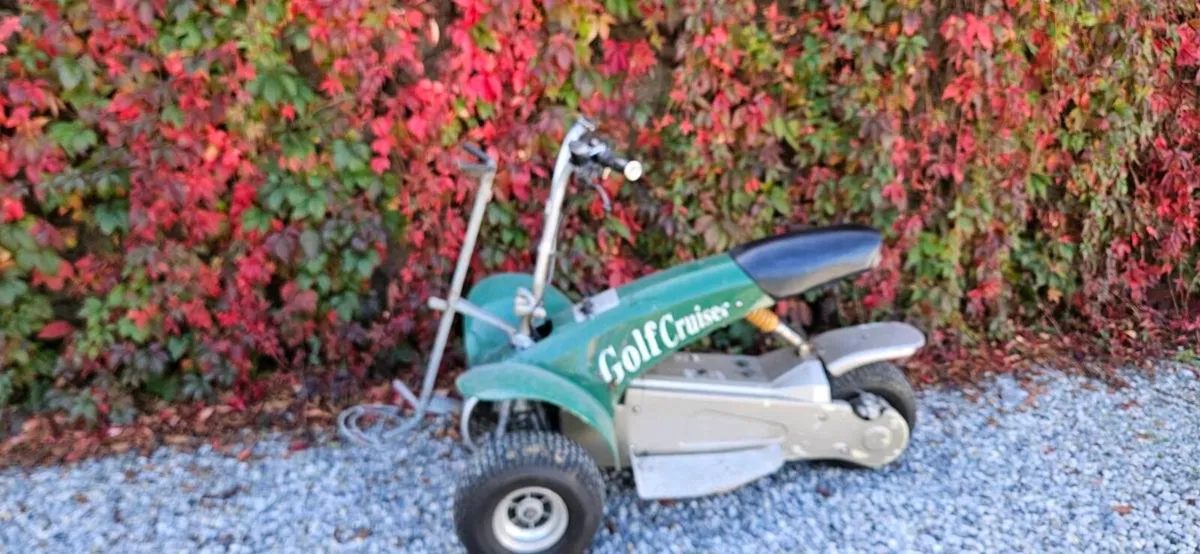 Golf buggy - Image 1