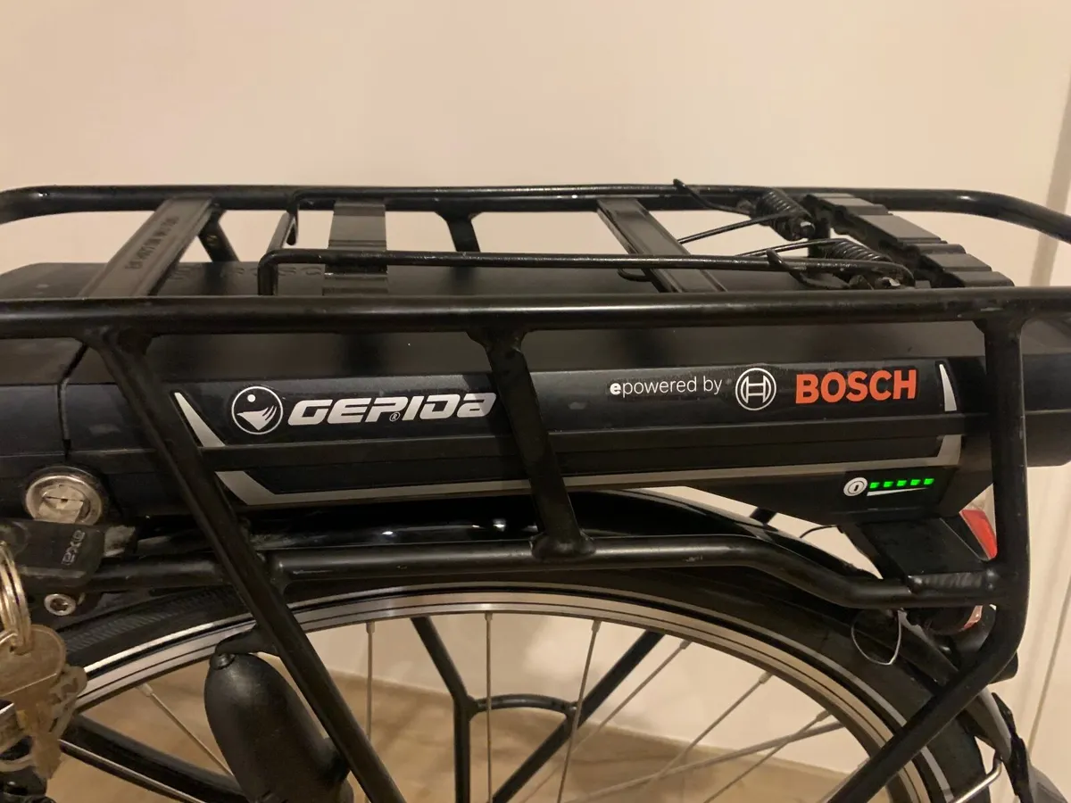 Gepida Electric Bicycle - Image 4