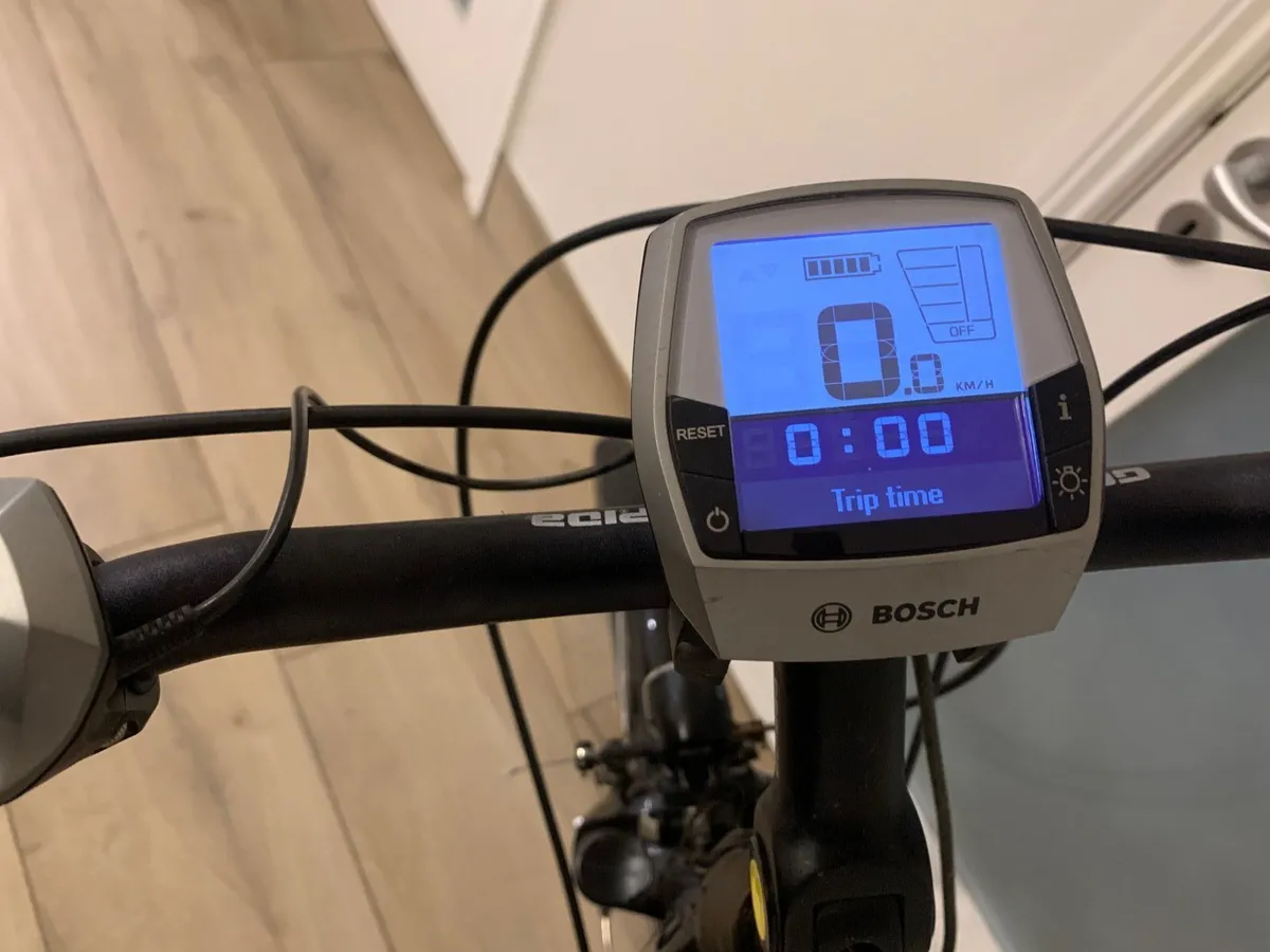 Gepida Electric Bicycle - Image 2