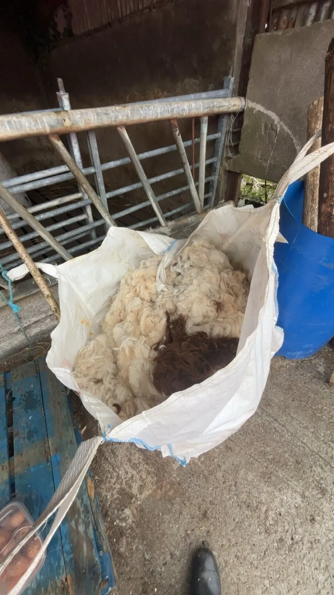 Wool for Sale - Organic Sheep & Alpaca Wool - Image 3