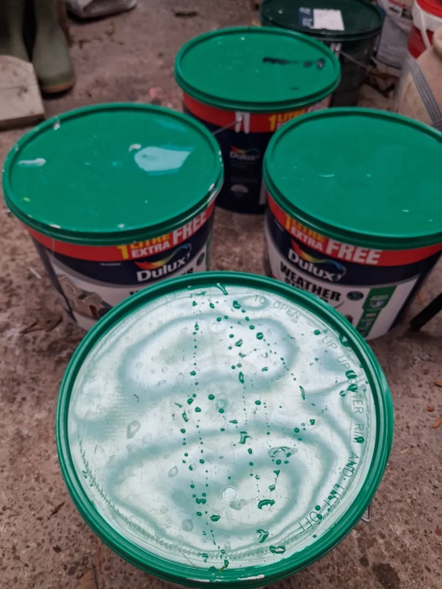 Paint - Image 2