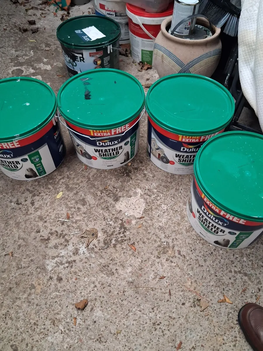Paint - Image 3