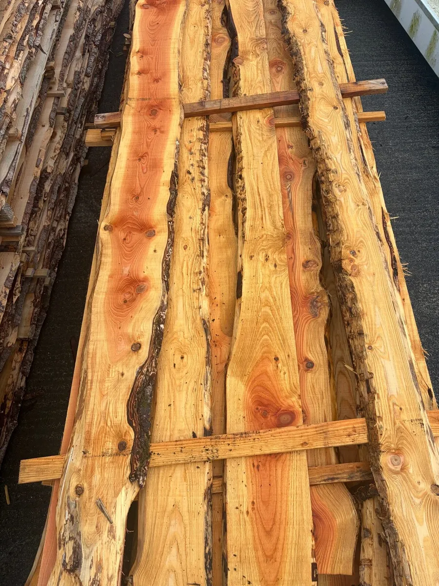 Weany edge larch and Douglas fir boards - Image 4