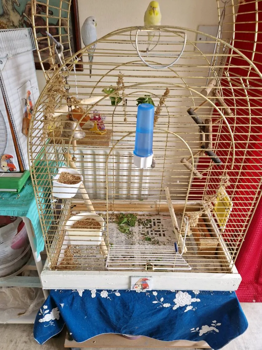 2 budgies.cage  food .stand - Image 1