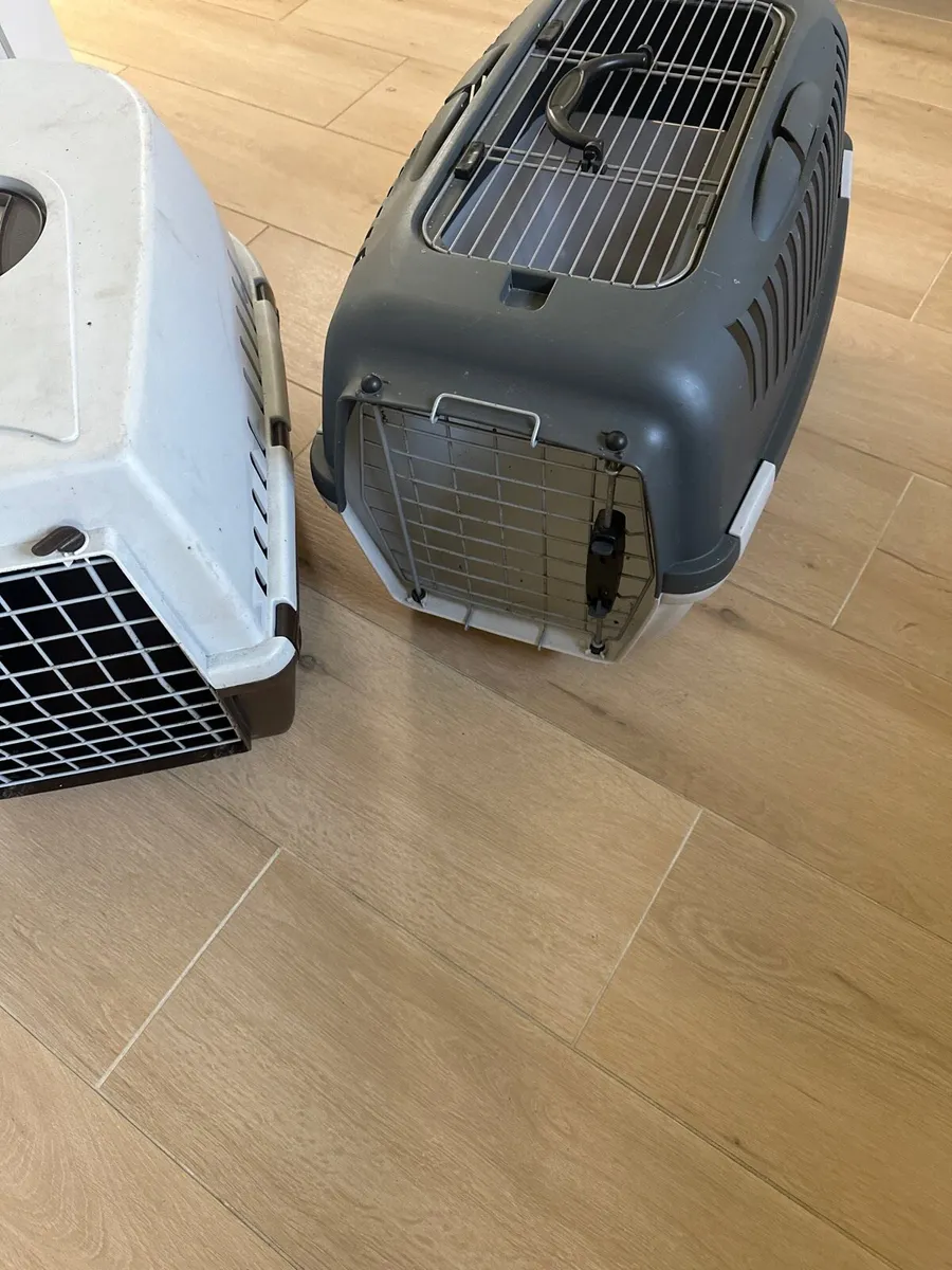 Dog 2 small carrier boxes - Image 3