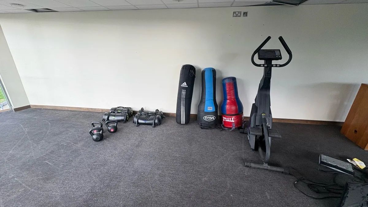 Boxing  Bags.  Carry Weights - Image 1