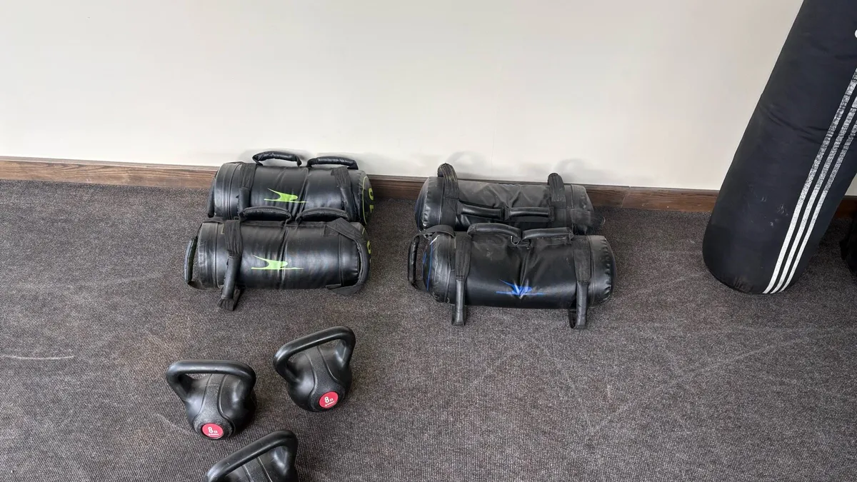Boxing  Bags.  Carry Weights - Image 2