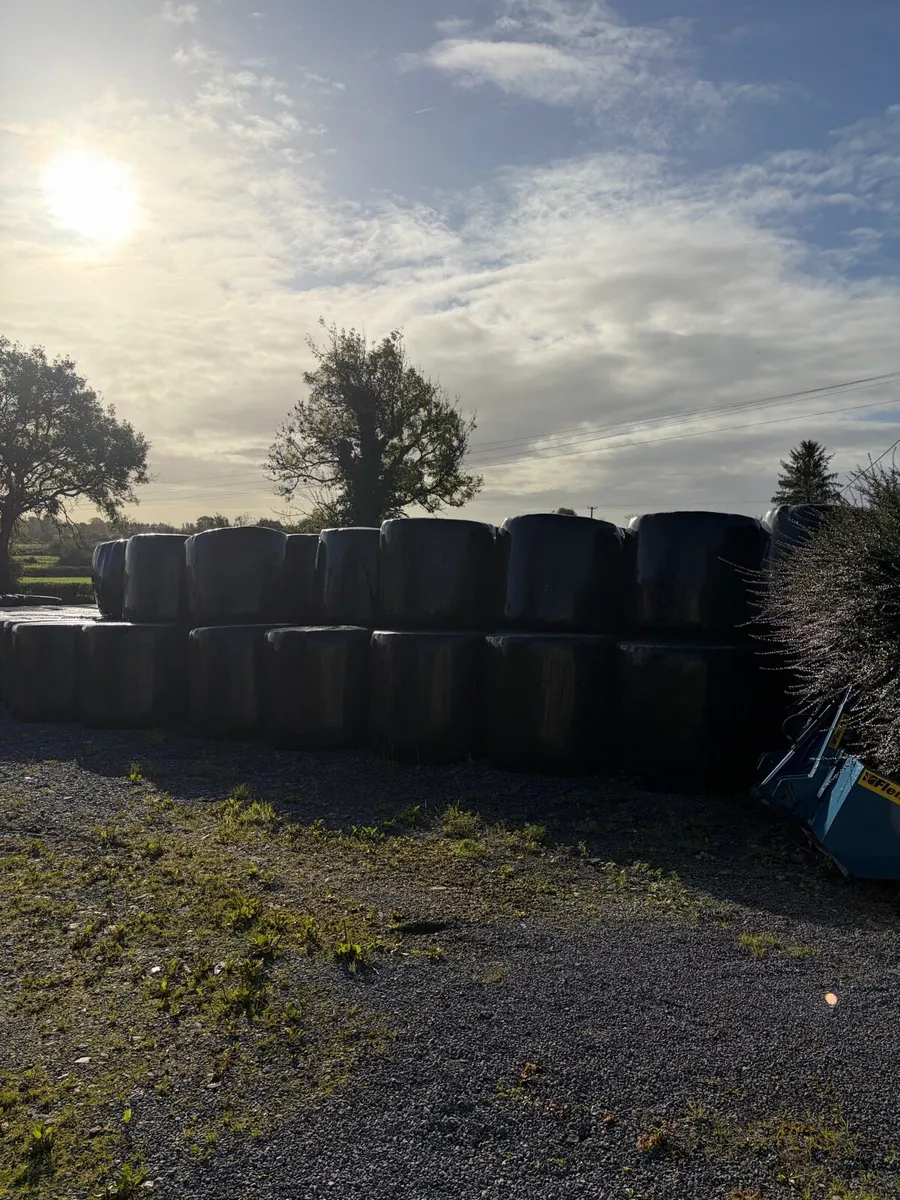 Silage & Hay - Image 1