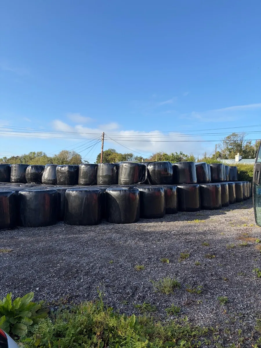 Silage & Hay - Image 2