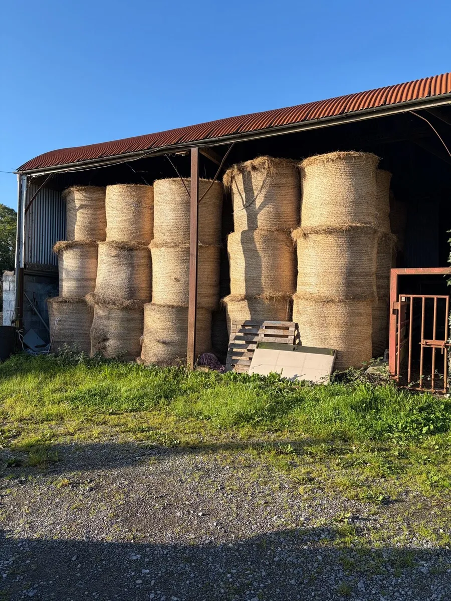 Silage & Hay - Image 3