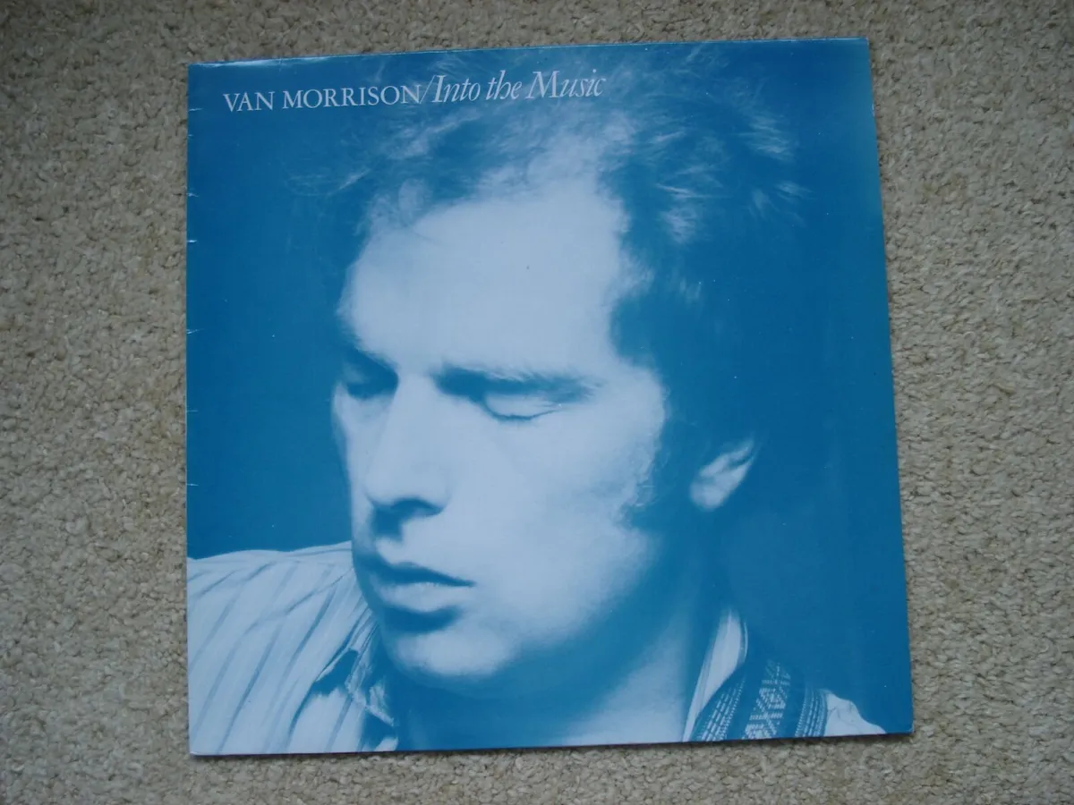 Van Morrison  Vinyl  LP s - Image 3