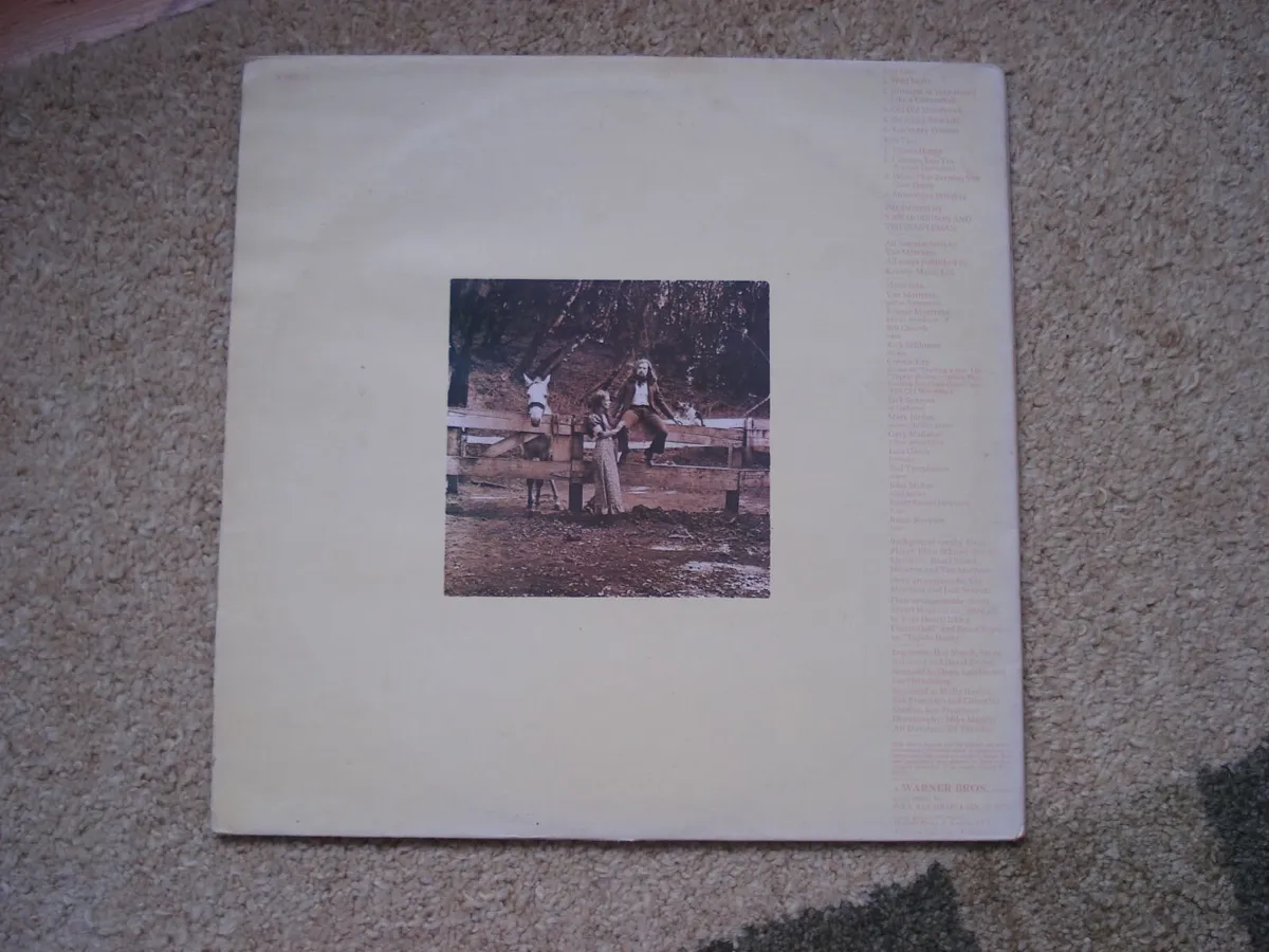 Van Morrison  Vinyl  LP s - Image 4