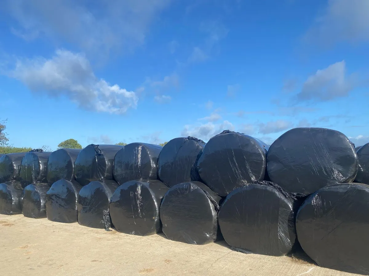 Silage Bales