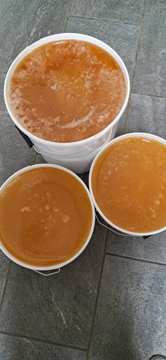 Selling natural honey from my own apiary - Image 2