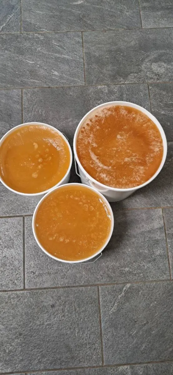 Selling natural honey from my own apiary - Image 1