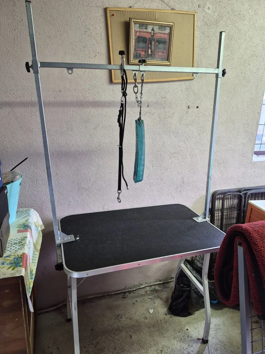 Dog grooming table - Image 1