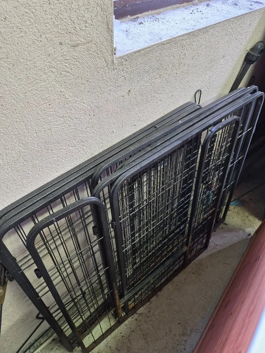 Dog grooming table - Image 4