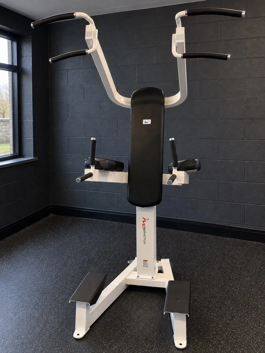 Freemotion Epic Dip Chin/Ab Tower EF207
