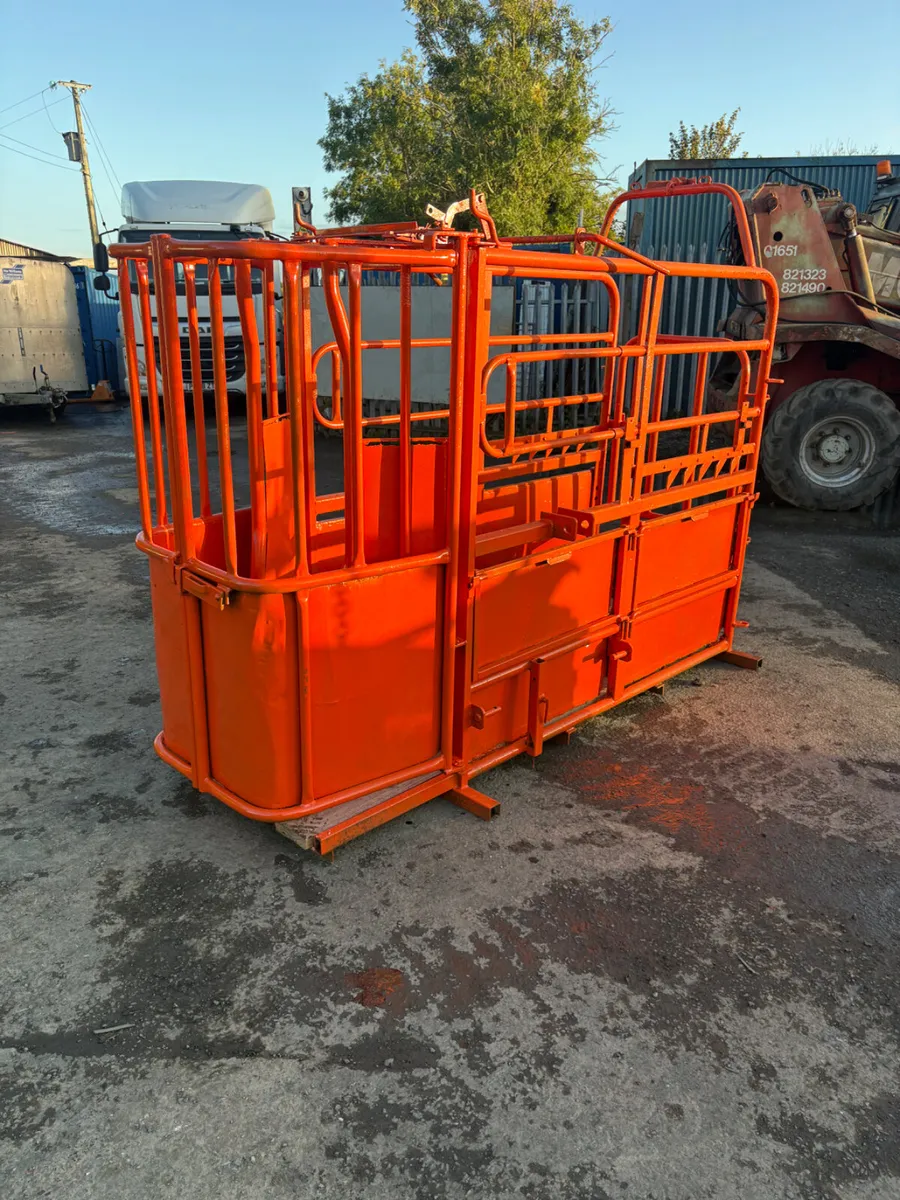 Cattle crush - Image 1