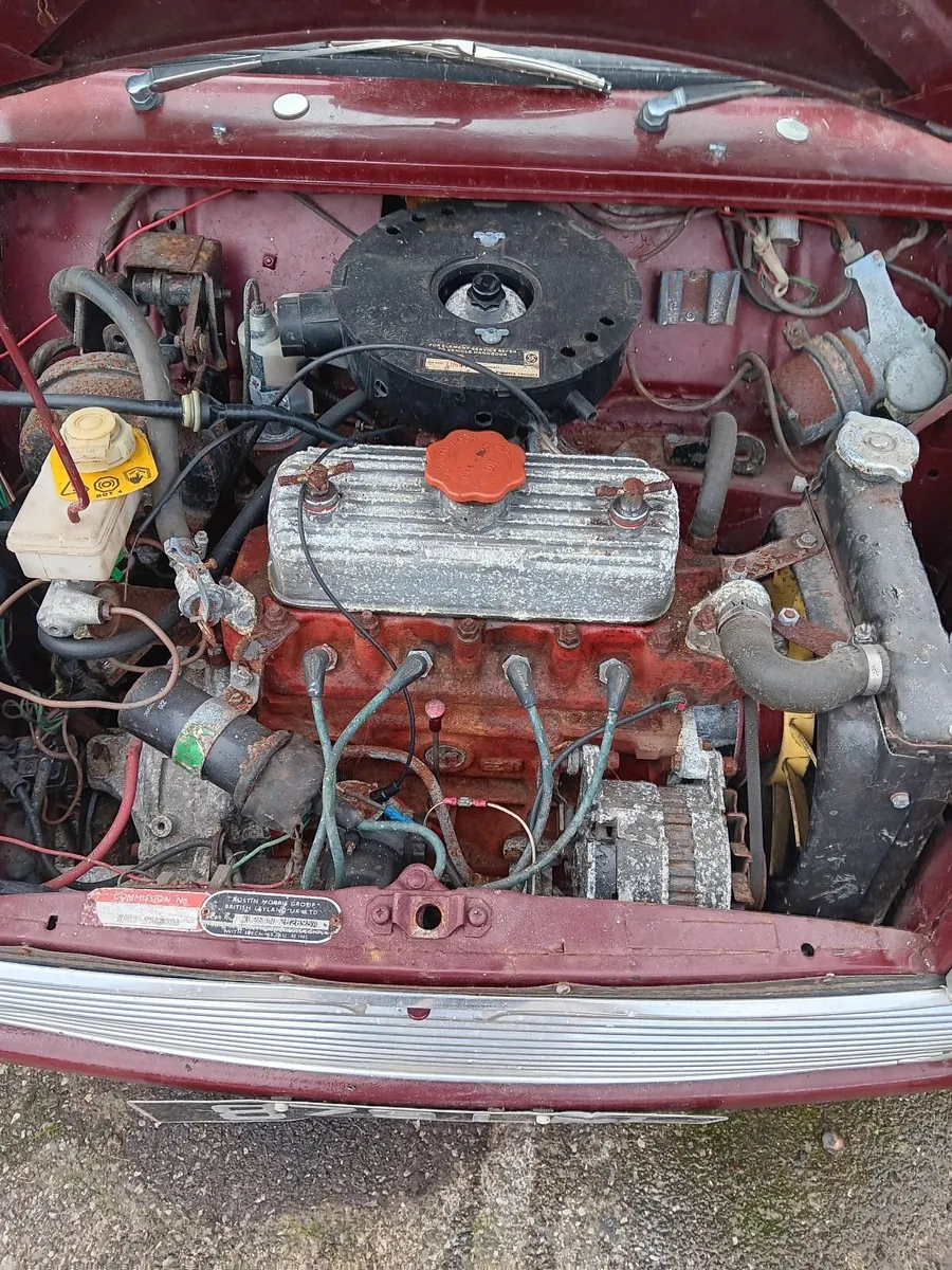 Mini  1975 - Image 3