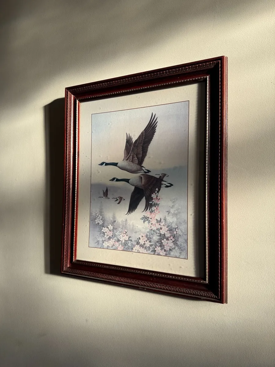 picture - Image 1