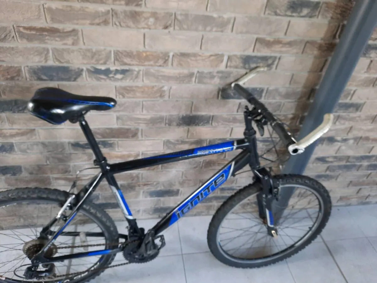 Mountain bike - Image 1
