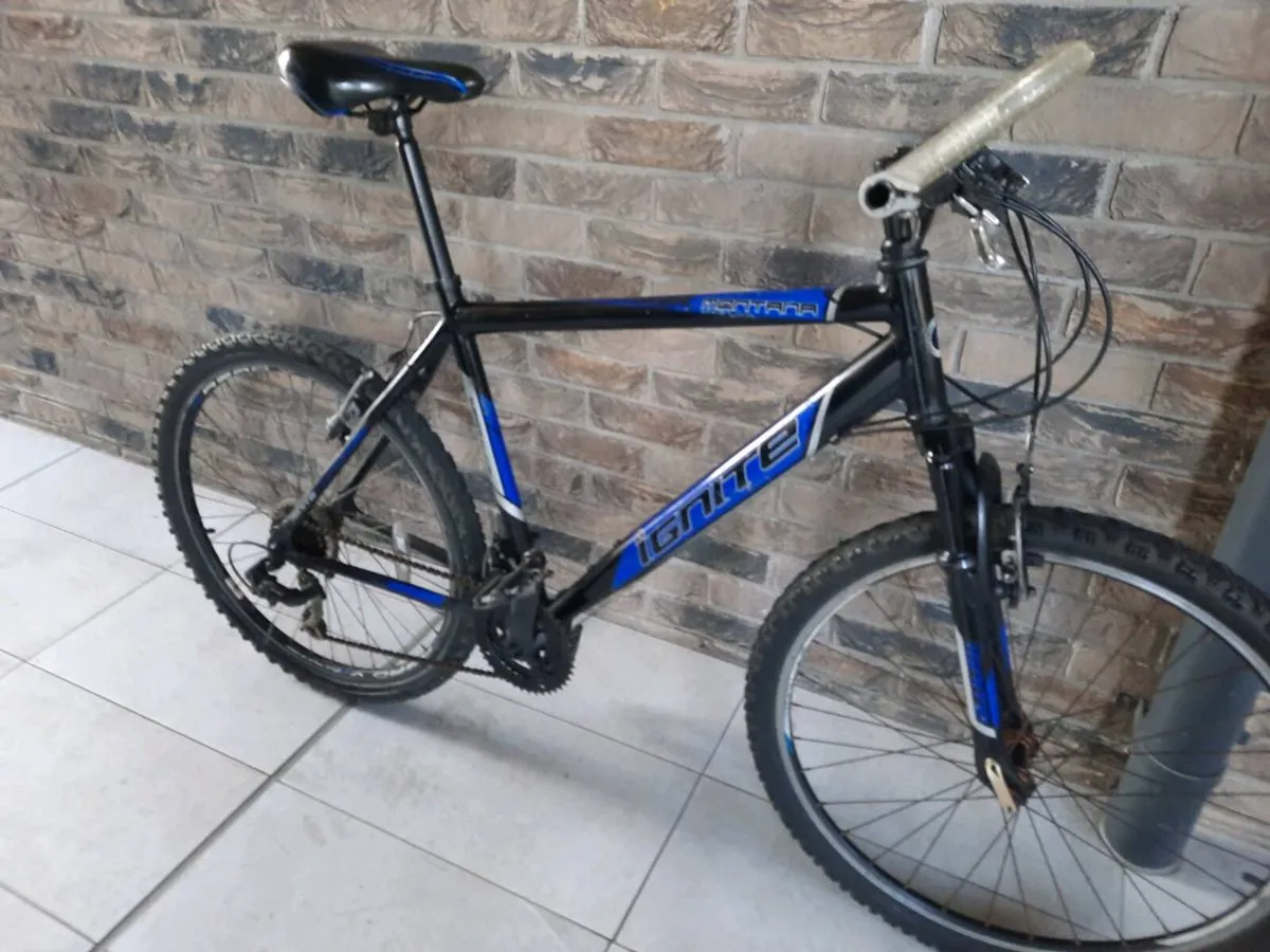 Mountain bike - Image 2