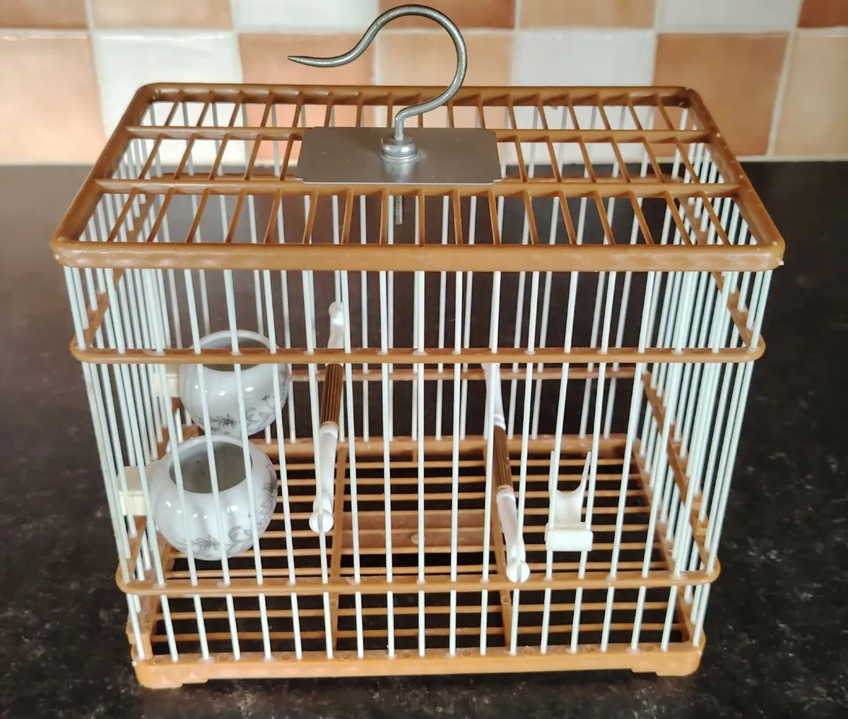 Canaries and Equipment for sale - Image 1