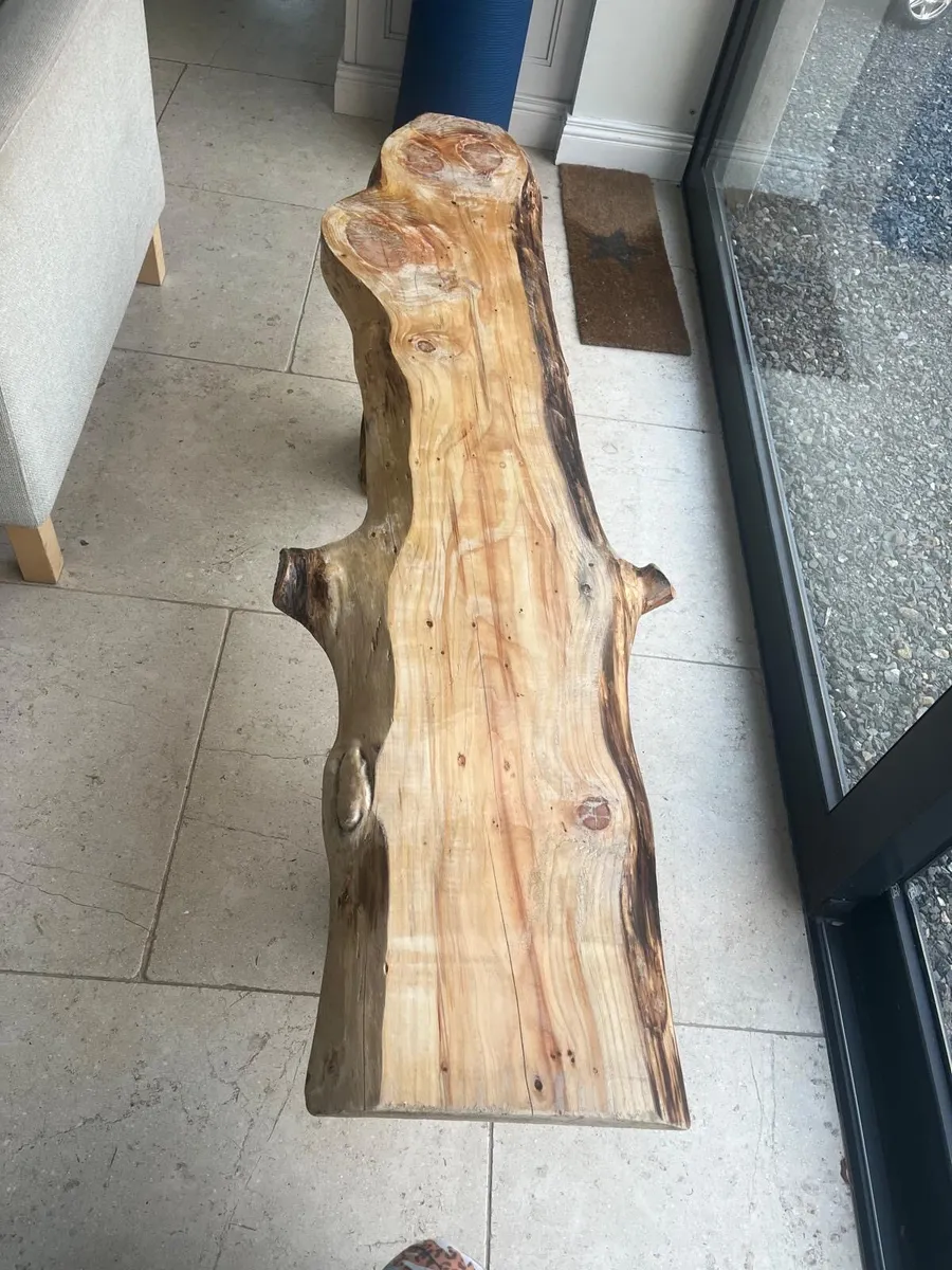 Live edge garden bench’s - Image 1