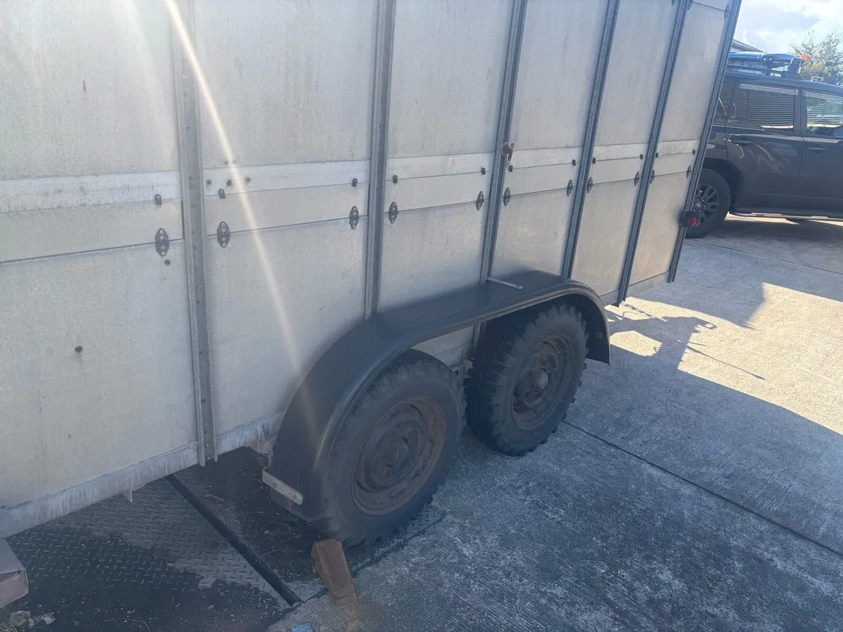 Ifor Williams 12x5”10 Livestock Trailer - Image 3